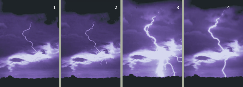 Acamedia%20case%20study